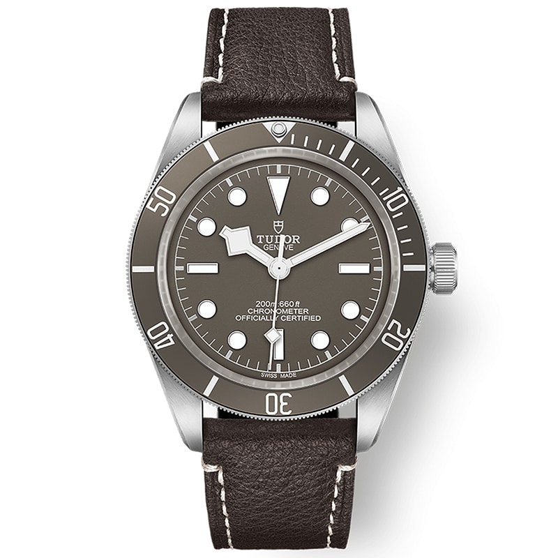 Tudor Black Bay Fifty-Eight 925 M79010SG-0001