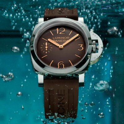 PAM01731